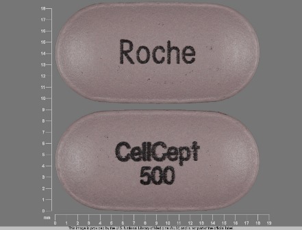 CellCept 500 Roche: (0004-0260) Cellcept 500 mg Oral Tablet by Lake Erie Medical & Surgical Supply Dba Quality Care Products LLC