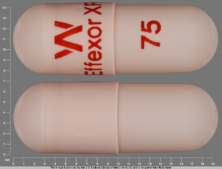 W EffexorXR 75: (0008-0833) 24 Hr Effexor 75 mg Extended Release Capsule by Wyeth Pharmaceuticals Company, a Subsidiary of Pfizer Inc.