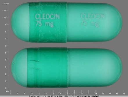 Cleocin 75 mg: (0009-0331) Cleocin 75 mg Oral Capsule by Pharmacia and Upjohn Company