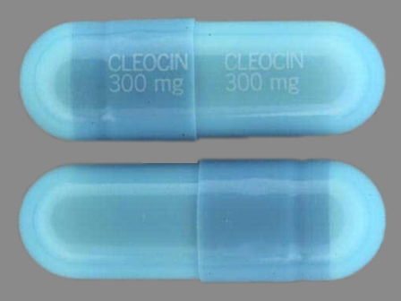 Cleocin 300 mg: (0009-0395) Cleocin 300 mg Oral Capsule by Pharmacia and Upjohn Company
