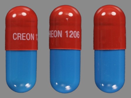 CREON 1206: (0032-1206) Creon 6,000 (Lipase) Enteric Coated Capsule by Abbvie Inc.