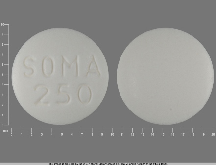 SOMA 250: (0037-2250) Soma 250 mg Oral Tablet by Rebel Distributors Corp