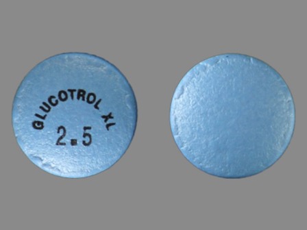 GLUCOTROL XL 2 5: (0049-1620) 24 Hr Glucotrol XL 2.5 mg Extended Release Tablet by Roerig