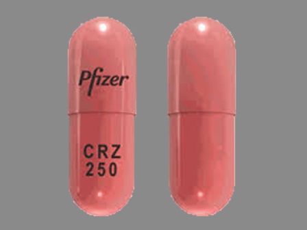 Pfizer CRZ 250: (0069-8140) Xalkori 250 mg Oral Capsule by Pfizer Laboratories Div Pfizer Inc