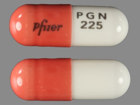 Pfizer PGN 225: (0071-1019) Lyrica 225 mg Oral Capsule by Parke-davis Div of Pfizer Inc