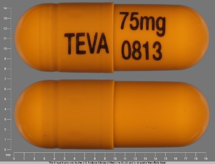 TEVA 75mg 0813: (0093-0813) Nortriptyline Hydrochloride 75 mg Oral Capsule by Clinical Solutions Wholesale