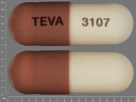 TEVA 3107: (0093-3107) Amoxicillin 250 mg Oral Capsule by Lake Erie Medical Dba Quality Care Products LLC
