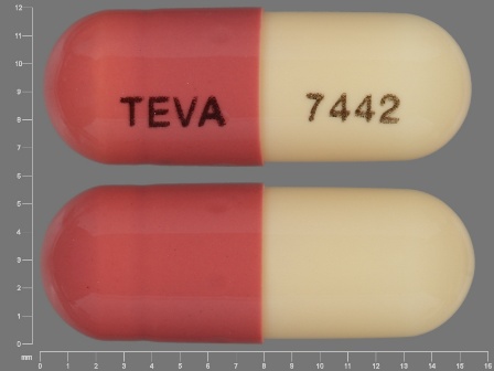 TEVA 7442: (0093-7442) Fluvastatin (As Fluvastatin Sodium) 20 mg Oral Capsule by Teva Pharmaceuticals USA Inc