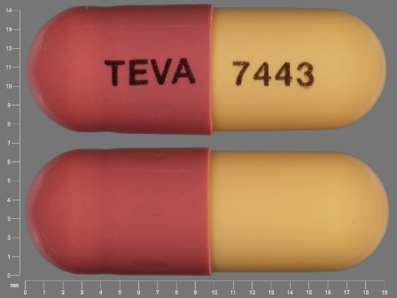 TEVA 7443: (0093-7443) Fluvastatin (As Fluvastatin Sodium) 40 mg Oral Capsule by Teva Pharmaceuticals USA Inc