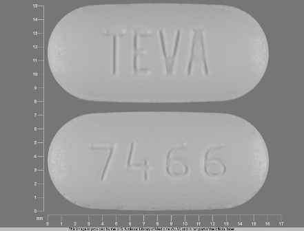 TEVA 7466: (0093-7466) Irbesartan 300 mg Oral Tablet by Teva Pharmaceuticals USA Inc