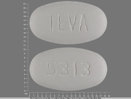 TEVA 5313: (0172-5313) Ciprofloxacin (As Ciprofloxacin Hydrochloride) 750 mg Oral Tablet by Ivax Pharmaceuticals, Inc.