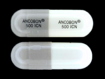 ANCOBON 500 ICN: (0187-3555) Ancobon 500 mg Oral Capsule by Valeant Pharmaceuticals North America LLC