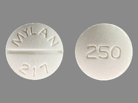MYLAN 217 250: (0378-0217) Tolazamide 250 mg Oral Tablet by Mylan Pharmaceuticals Inc.