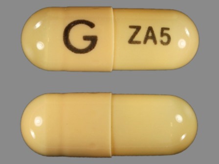 G ZA5: (0378-6805) Zaleplon 5 mg Oral Capsule by Mylan Pharmaceuticals Inc.