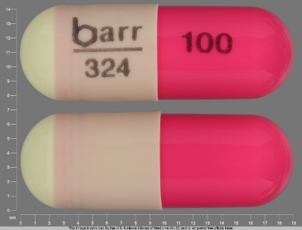barr 324 100: (0555-0324) Hydroxyzine Pamoate 100 mg Oral Capsule by Remedyrepack Inc.