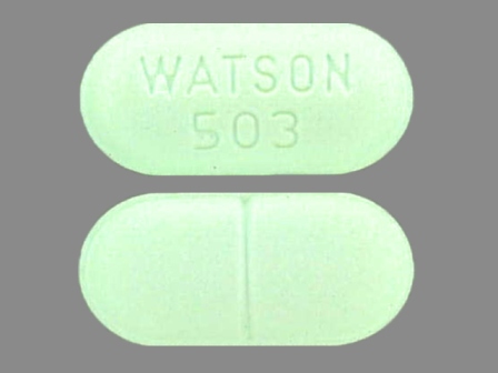 WATSON 503: (0591-0503) Apap 650 mg / Hydrocodone Bitartrate 10 mg Oral Tablet by Pd-rx Pharmaceuticals, Inc.
