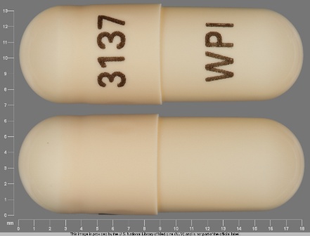 WPI 3137: (0591-3137) Nizatidine 150 mg Oral Capsule by Watson Laboratories, Inc.