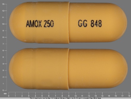 AMOX 250 GG 848: (0781-2020) Amoxicillin 250 mg Oral Capsule by Proficient Rx Lp