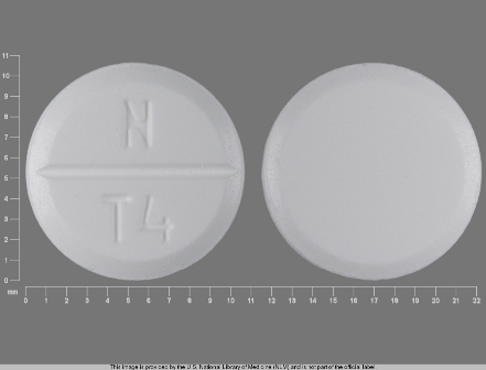 NT 4: (29033-001) Theophylline 400 mg Extended Release Tablet by Pack Pharmaceuticals, LLC