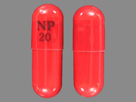 NP 20: (29033-013) Piroxicam 20 mg Oral Capsule by Rebel Distributors Corp