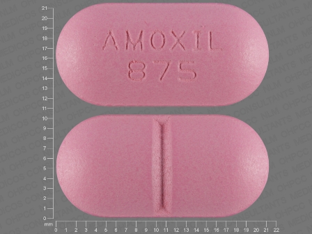 AMOXIL 875: (43598-219) Amoxicillin 875 mg Oral Tablet, Film Coated by Proficient Rx Lp
