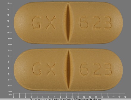 GX 623: (49702-221) Ziagen 300 mg Oral Tablet by Remedyrepack Inc.