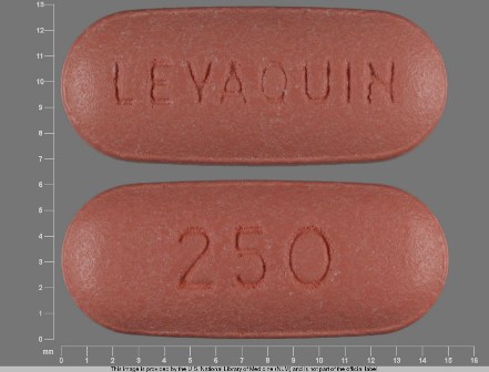LEVAQUIN 250: (50458-920) Levaquin 250 mg Oral Tablet by Physicians Total Care, Inc.
