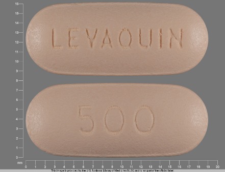 LEVAQUIN 500: (50458-925) Levaquin 500 mg Oral Tablet by Redpharm Drug Inc.