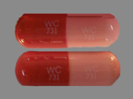 WC 731: (60429-022) Amoxicillin 500 mg Oral Capsule by Golden State Medical Supply, Inc.