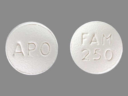 APO FAM 250: (60429-360) Famciclovir 250 mg Oral Tablet by Golden State Medical Supply, Inc.