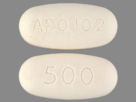 APO 102 500: (60505-0102) Etodolac 500 mg Oral Tablet by Apotex Corp.