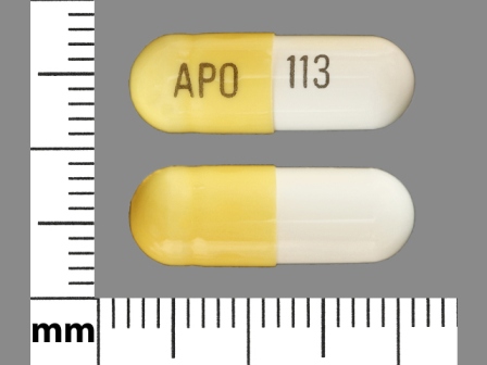 APO 113: (60505-0113) Gabapentin 300 mg Oral Capsule by Apotex Corp.