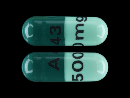 A 43 500 mg: (65862-019) Cephalexin 500 mg Oral Capsule by Amella Pharma, LLC