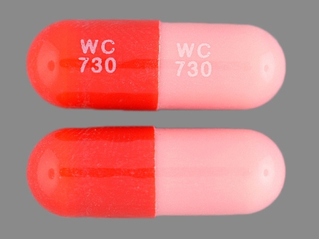 WC 730: (67253-140) Amoxicillin 250 mg Oral Capsule by Dava Pharmaceuticals, Inc.
