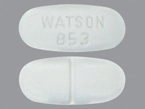 WATSON 853: (68084-884) Hydrocodone Bitartrate and Acetaminophen Oral Tablet by Bryant Ranch Prepack