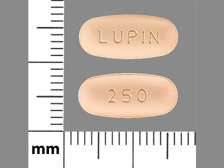 LUPIN 250: (68180-403) Cefprozil 250 mg Oral Tablet by Lupin Pharmaceuticals, Inc.