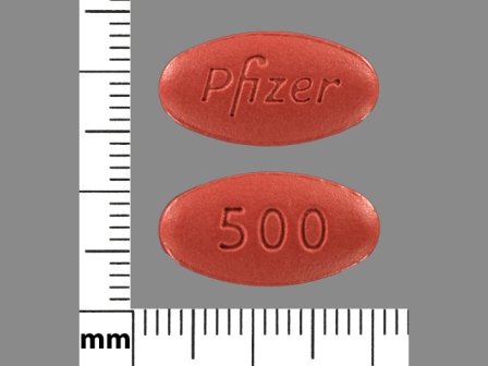 Pfizer 500 reddish brown tablet