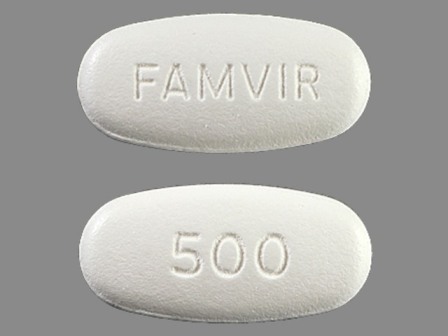 Famvir FAMVIR;500