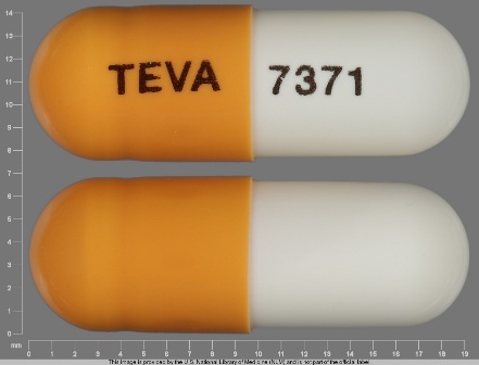 TEVA 7371: (0093-7371) Amlodipine (As Amlodipine Besylate) 5 mg / Benazepril Hydrochloride 10 mg Oral Capsule by Teva Pharmaceuticals USA Inc
