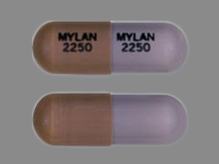 MYLAN 2250: (0378-2250) Mycophenolate Mofetil 250 mg Oral Capsule by Mylan Pharmaceuticals Inc.