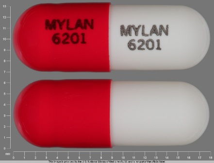 MYLAN 6201: (0378-6201) Verapamil Hydrochloride 100 mg 24 Hr Extended Release Capsule by Mylan Pharmaceuticals Inc.