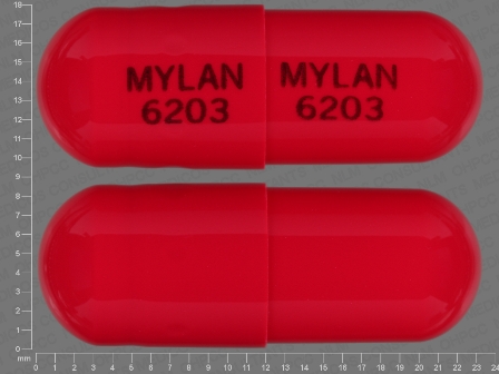 MYLAN 6203: (0378-6203) Verapamil Hydrochloride 300 mg 24 Hr Extended Release Capsule by Mylan Pharmaceuticals Inc.