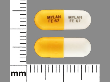 MYLAN FE 67: (0378-8628) Fenofibrate 67 mg Oral Capsule by Mylan Pharmaceuticals Inc.