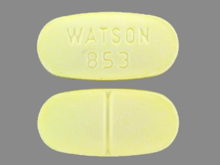 Acetaminophen + Hydrocodone WATSON;853