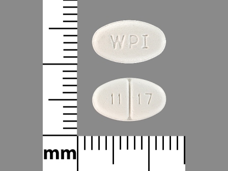 WPI 11 17: (0591-1117) Mirtazapine 15 mg Oral Tablet, Film Coated by Tya Pharmaceuticals