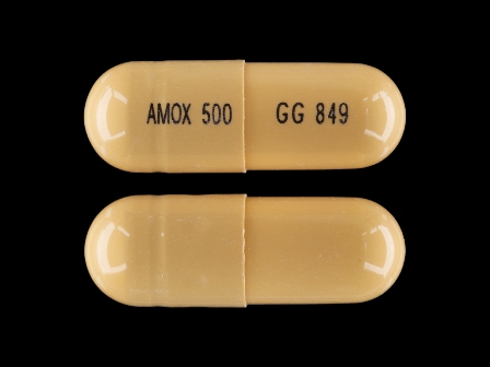 AMOX 500 GG 849: (0781-2613) Amoxicillin 500 mg Oral Capsule by Sandoz Inc