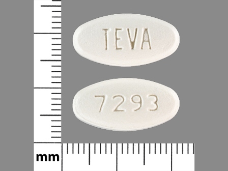 Levofloxacin TEVA;7293