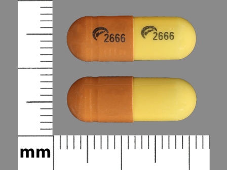 Brown, yellow capsule, logo 2666