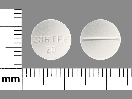 CORTEF 20: (59762-0075) Hydrocortisone 20 mg Oral Tablet by Avera Mckennan Hospital
