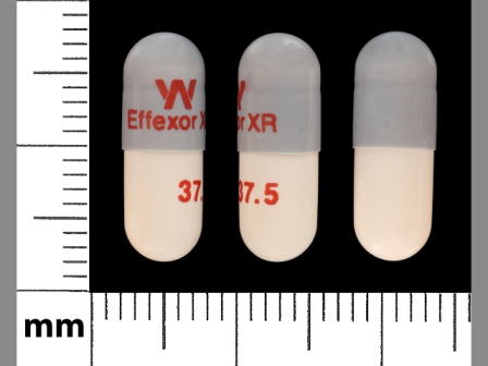 EffexorXR 375: (59762-0180) Venlafaxine (As Venlafaxine Hydrochloride) 37.5 mg 24 Hr Extended Release Capsule by Greenstone LLC